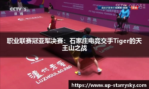 职业联赛冠亚军决赛:石家庄电竞交手Tiger的天王山之战